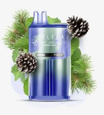 ELFBAR BC 20K FOREST MINT