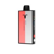 IGNITE VMIX 40K ALOE GRAPE + STRAW WATER ICE